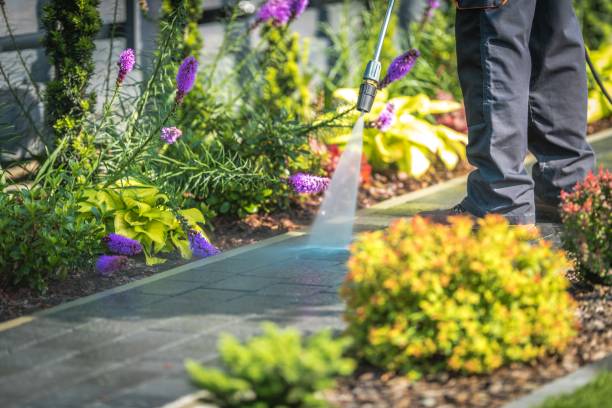Best Winterizing Services  in Salamatof, AK