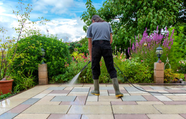 Best Animal Enclosure Cleaning  in Salamatof, AK